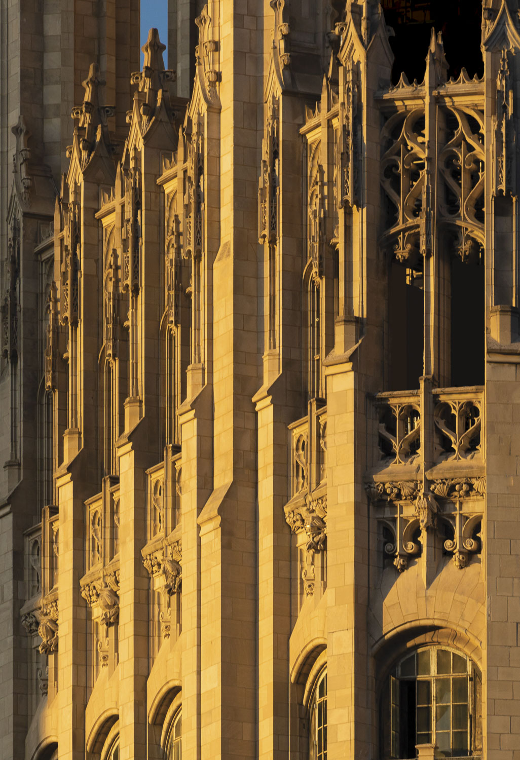 A close-up photograph of an upper section of the Chicago Tribune Building shot in late afternoon sun that turns the face of the building a glowing orange-red. Vertical buttresses run up the side of the building, dividing it into bays. The light-colored stone of the building is carved into Gothic forms like pointed arches, gargoyles, and plant motifs. Some of the bays end at the top with elaborate open tracery and are topped by a pinnacle.